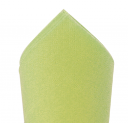 Serviette ouate de cellulose 2 plis couleur vert amande