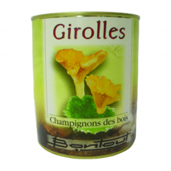 Girolles 